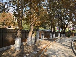 بهسازي ميدان تجريش با رويکرد حفظ هويت و صيانت از درختان کهنسال