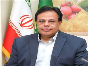 واگذاري 980 هکتار از اراضي ملي استان براي توسعه نيروگاههاي خورشيدي