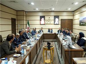 گوشت قرمز تنظيم بازار استان به ميزان مورد نياز تامين شده است