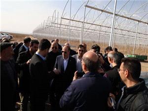 بازديد وزير جهاد کشاورزي از پروژههاي گلخانهاي در حال احداث هريس / تأکيد بر توسعه کشت گلخانهاي براي افزايش بهرهوري آب و توليد پايدار
