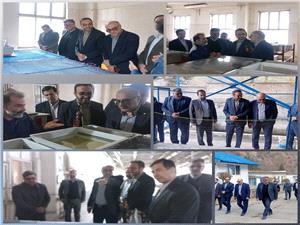 بازديد مديرکل شيلات از مرکز تکثير ماهي آزاد کلاردشت