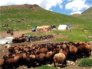 عشاير از استقرار در حاشيه رودخانهها، مسيلها و نقاط مستعد وقوع سيلاب خودداري کنند