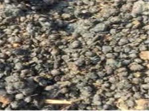 کشف 40تن نهاده هاي دامي فاسد در بابل