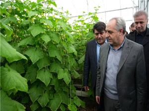 تأکيد استاندار آذربايجان شرقي بر رفع موانع انرژي و نهادههاي توليد در واحدهاي گلخانهاي