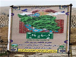 رئيس منابع طبيعي اسلام آباد غرب:کاشت نهال بيانگر همدلي و همراهي مردم است