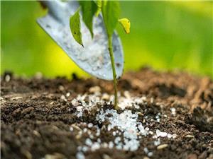 توزيع بيش از 3هزار تن کود شيميائي در شهرستان بابل