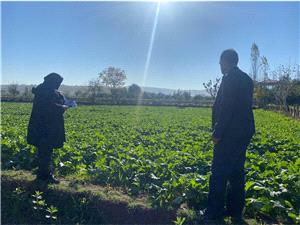 پاييز کمبارش، اما موفق/ سبز شدن بيش از 7000 هکتار از اراضي ساري با اجراي کشاورزي هوشمند