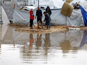 بحران انسانى در حال گسترش در غزه تحت تأثیر توفان قطبی