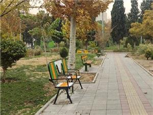 دلاوران بوستان دوستدار معلولين شد