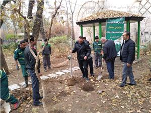 کاشت 1450 اصله نهال در منطقه يک، گامي عملي در مسير طرح ملي يک ميليارد درخ