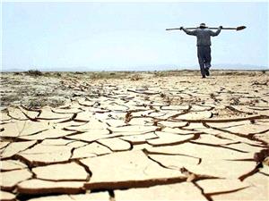 کشاورزی در تله سیاستهای ناکارآمد؛ بحران معیشت و ضرورت بازاندیشی در راهبردهای اقتصادی