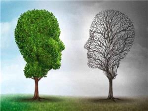 از ايجاد مهارتکدههاي روان در مکانهاي پرتردد تا اجراي جشنواره «حال خوب مادري» ويژه مادرياران