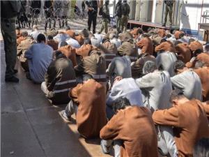 گوانتانامو اسرائیل؛ روایت یهودی آمریکایی از زندانهای رژیم اسرائیل