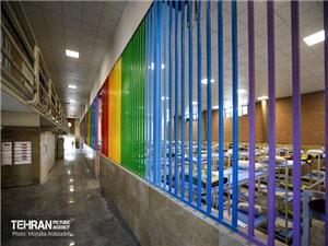 شهرداري در حوزه معتادان متجاهر عالي و البته فراتر از وظيفه عمل کرده است