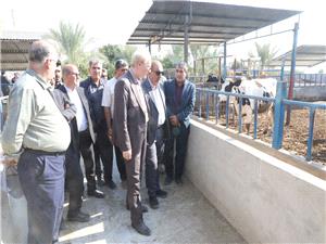 بازديد رئيس و اعضاي کميسيون کشاورزي مجلس از پروژه شهرک دامداري کازرون