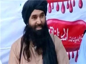 سرکرده ارشد طالبان پاکستان کشته شد