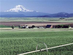 هشدار به کشاورزان/کاهش محسوس دما و يخبندان شبانه در مناطق سردسير