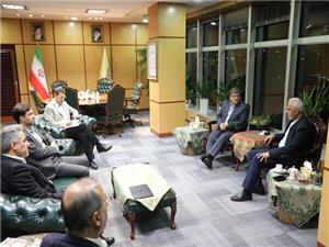 بررسي راهبردهاي توسعه همکاريهاي ريلي ايران و افغانستان