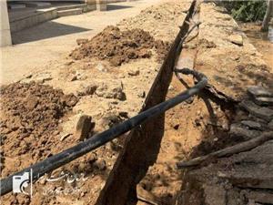 اجرای عملیات لولهگذاری و آبیاری تحت فشار در سازمان بهشت زهرا(س)