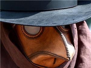 Tropical volcano triggered Black Death in Europe: Study