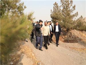 برنامهريزي عملياتي براي توسعه گردشگري و نگهداشت يکي از بزرگترين بوستانهاي جنگلي پايتخت