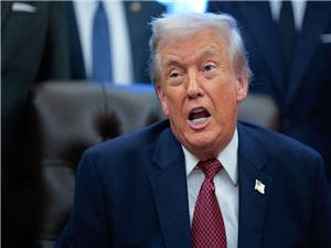 U.S. Shows Signs of ‘Rapid Authoritarian Shift,’ Report Warns