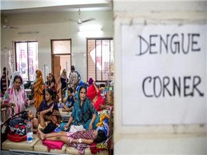 Dengue deaths in Bangladesh reach 401, third-highest in 25 years