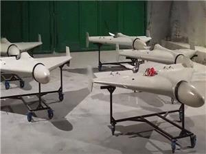 اولین واکنش سخنگوی نیروهای مسلح در مورد شبیهسازی پهپاد «شاهد 136»