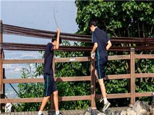 Why Seoul parents are not put off by private elementary schools’ US$8,200 fees