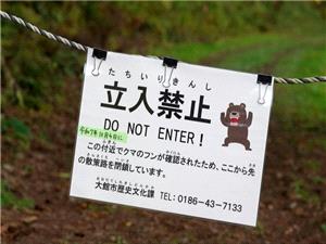 Japan bear victim`s watch shows last movements