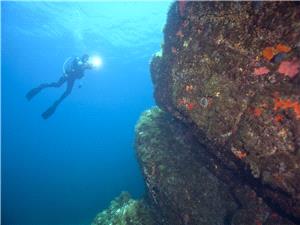 اکتشاف جدار حجری عمره 7 آلاف عام تحت الماء قباله فرنسا