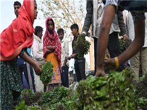 India’s retail inflation rises marginally to 0.71 percent in November