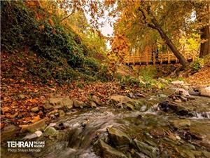 برگزاری رویدادهای ورزشی ملی در روددره فرحزاد/ تملک برخی از باغهای اطراف رودددره فرحزاد در دستور کار است