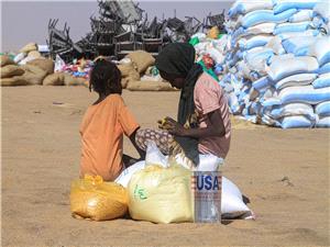 ‘New world disorder’: Sudan, Palestine top IRC’s 2026 Emergency Watchlist