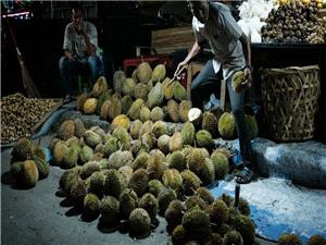 Indonesia sends first direct shipment of frozen durian to China
