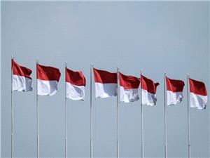 Secrecy shrouds Indonesian government’s history book launch