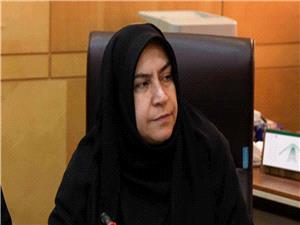 تیم اقتصادی دولت نظاره گر گرانی هاست