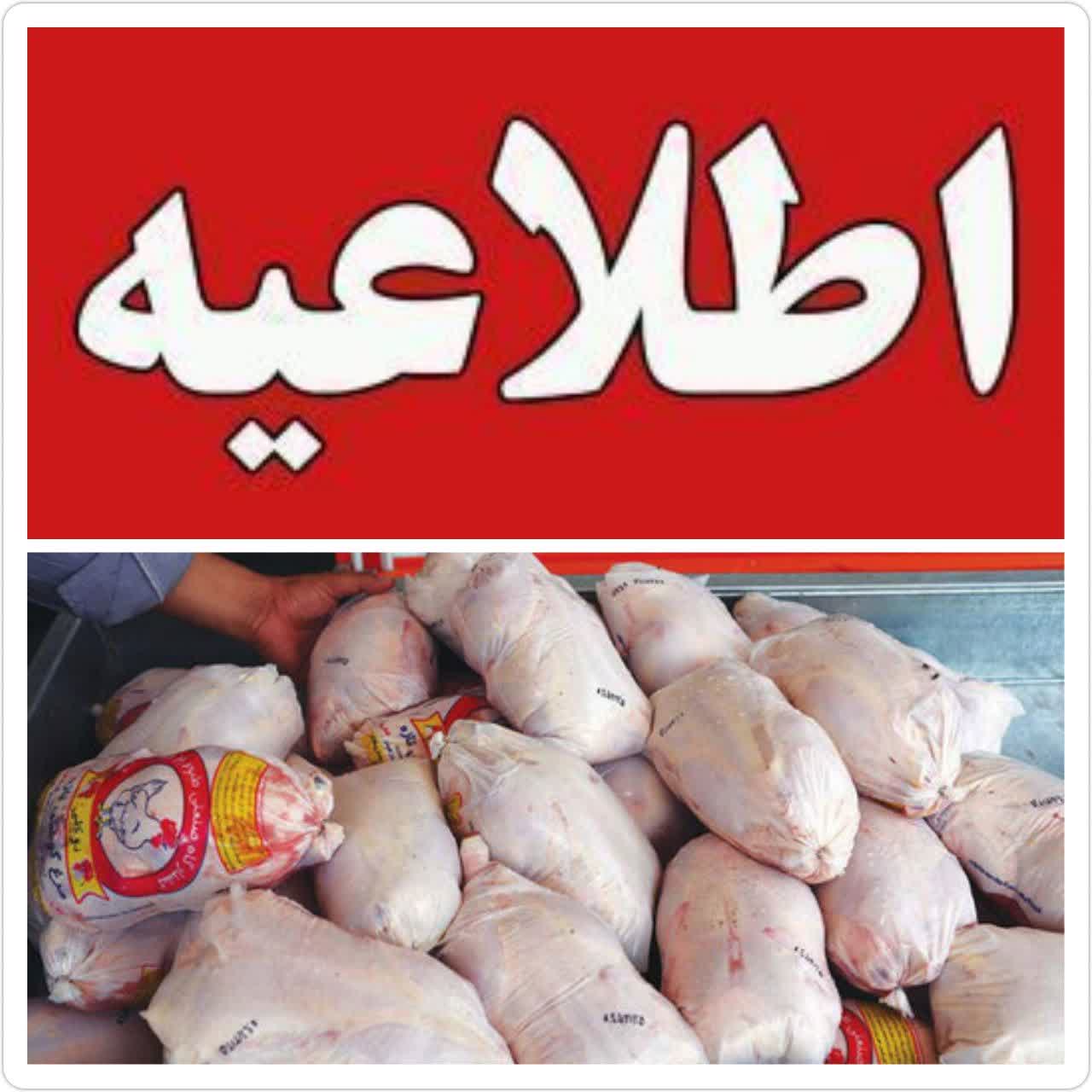 توزيع مرغ گرم تنظيم بازاري با قيمت مصوب در اختيار شهروندان بابلي