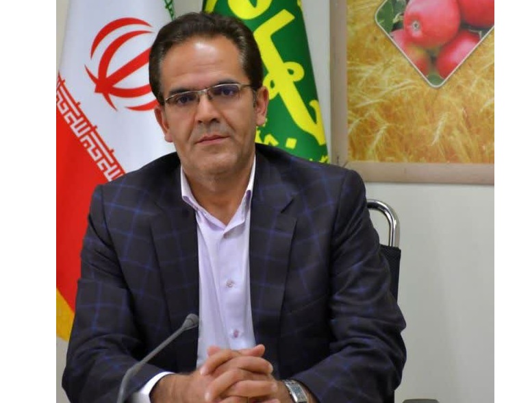 80 درصد کود اوره کشت پائيزه هشترود توزيع شد