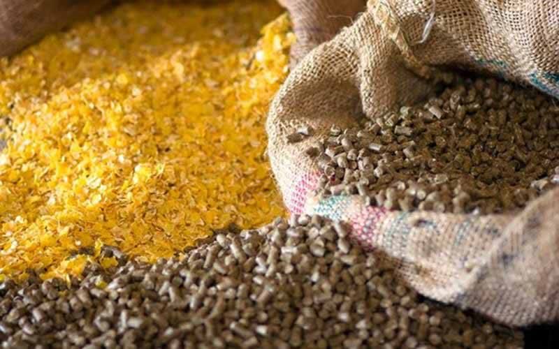 فرمانده انتظامي سنقروکليايي : 17 تن نهاده هاي دامي قاچاق در سنقروکليايي کشف شد