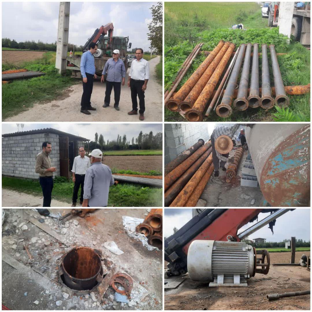 طلاي سبز در بابل جان دوباره گرفت؛ 30 هکتار شاليزار از آب مطمئن بهره‌مند شدند