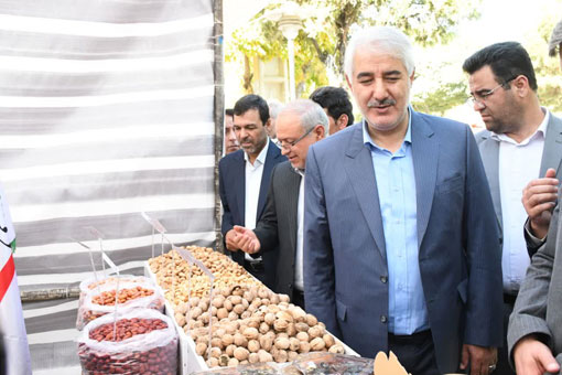 نمايش توانمندي هاي کشاورزي خسروشاه در حاشيه نخستين جشنواره بادام