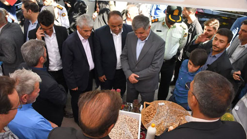 نخستين جشنواره بادام خسروشاه با هدف توسعه کشت کم‌آب‌بر برگزار شد