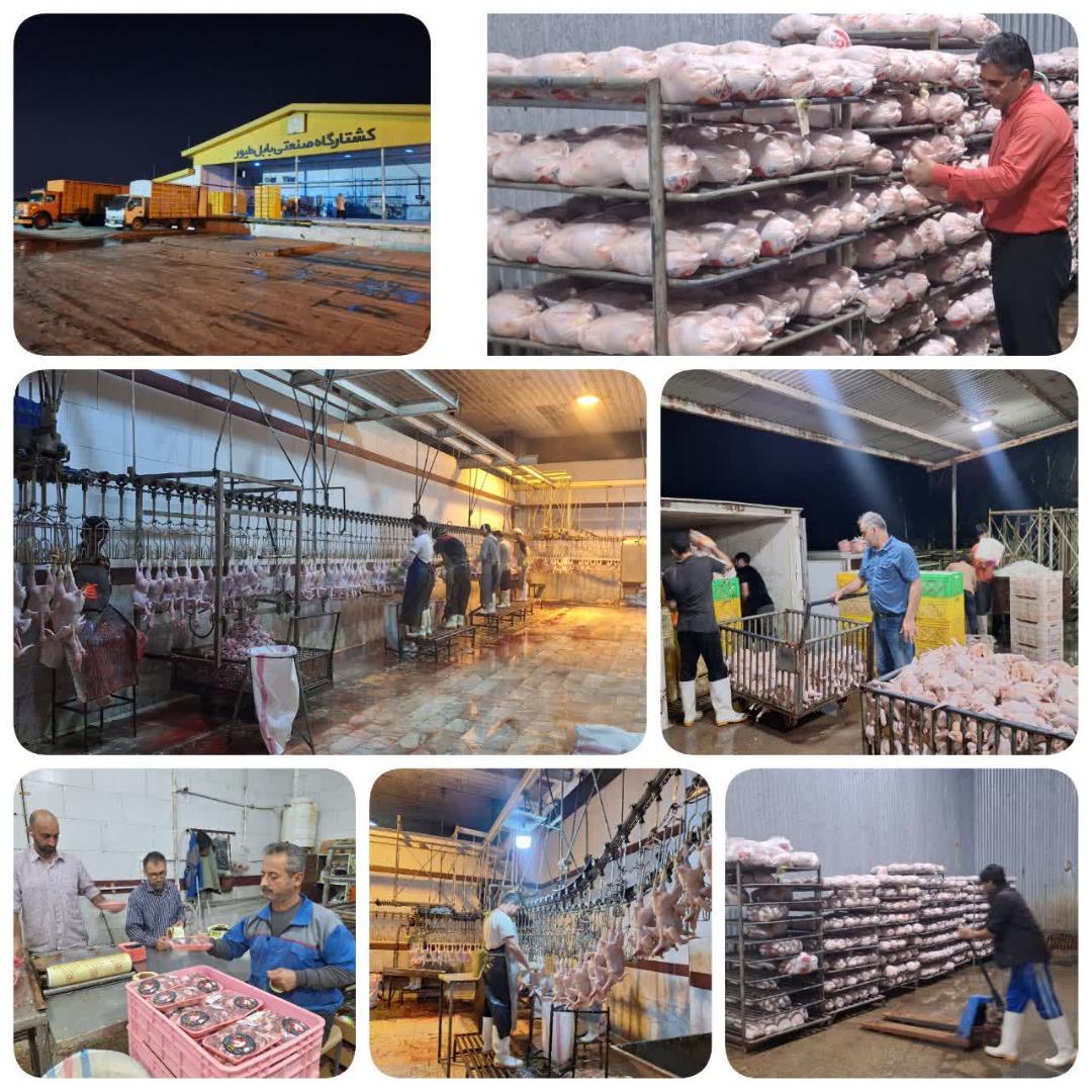 نظارت مستقيم بر فرآيند توليد و توزيع مرغ يارانه‌اي