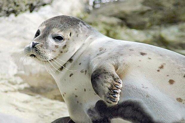 برگزاري بيست وهشتمين نشست وبينارشوراي معاونين وزارت تعاون، کارورفاه اجتماعي با محوريت توسعه کارآفريني و اشتغال