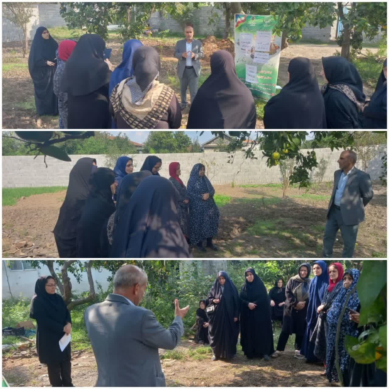 کلاس اموزشي ترويجي؛ با عنوان توليد محصول سالم، تغذيه کودي سبزي و صيفي، کنترل آفات و بيماري در بابل برگزار شد