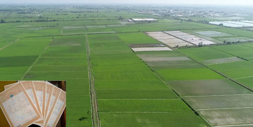 صدور 482 فقره سند مالکيت براي اراضي کشاورزي شهرستان اسکو در نيمه نخست سال 1404