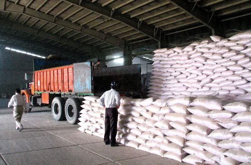 توزيع 240 تن کود اوره يارانه‌اي در مهرماه سال جاري در بابل؛ پشتوانه‌اي براي امنيت غذايي و کشت پاييزه