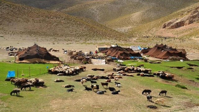 توزيع جو دولتي بين عشاير شهرستان‌هاي دنا و مارگون