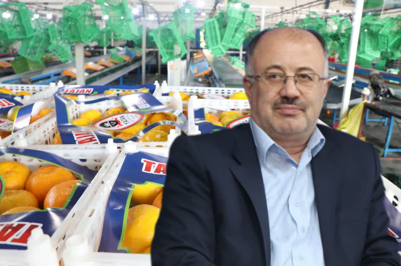 صادرات بيش از 13 هزار تُن مرکبات مازندران به بازارهاي جهاني/ ارزش‌آفريني و رونق اقتصادي با صادرات کيوي و نارنگي